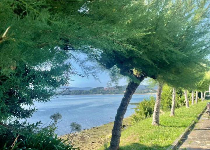 Apartament Atico Con Vistas A La Ria De Arosa Rianjo Zewnętrze zdjęcie